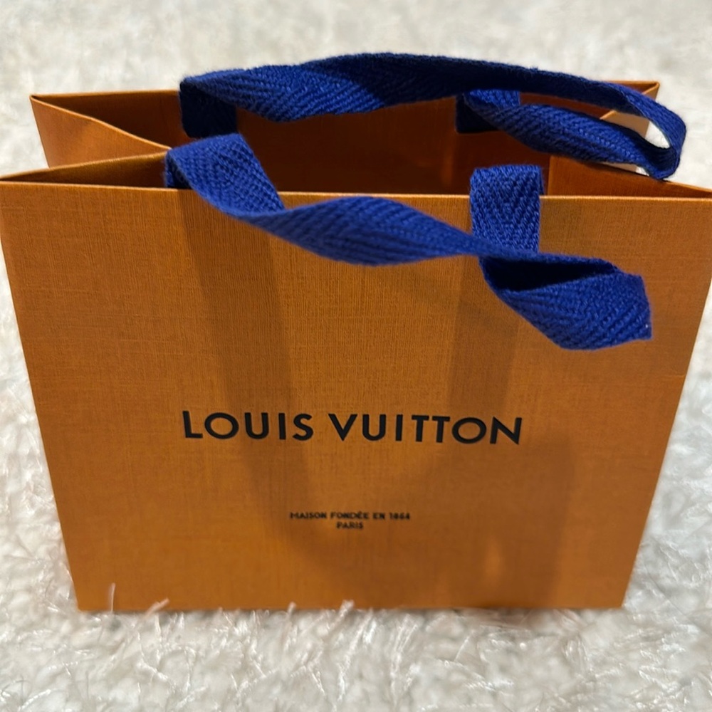 Louis Vuitton wallet size bag